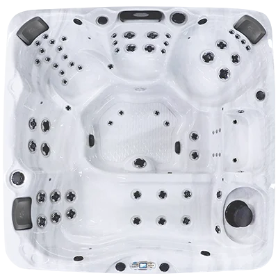 Avalon EC-867L hot tubs for sale in Stcharles